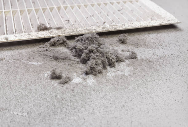 Best HVAC Air Duct Cleaning  in Conyngham, PA